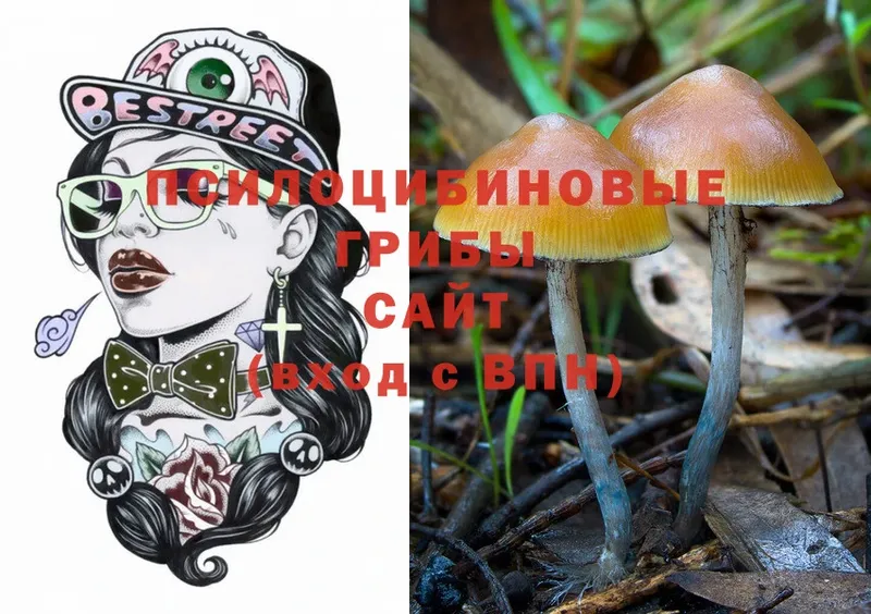 Псилоцибиновые грибы Magic Shrooms  Орск 