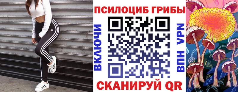 Псилоцибиновые грибы GOLDEN TEACHER  Орск 