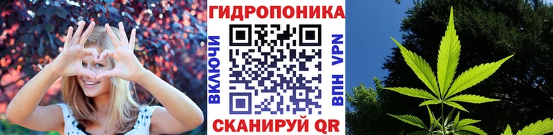 Бошки марихуана VHQ Орск