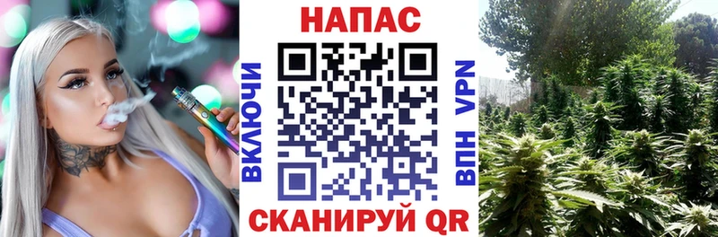 Конопля OG Kush  МЕГА ссылки  Орск 